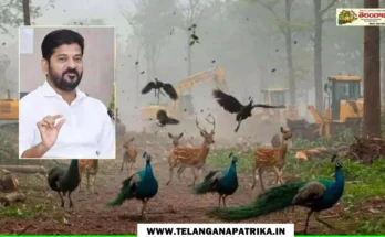 Kancha Gachibowli: CM revanth reddy condemns fake ai videos hcu gachibowli land issue strong response