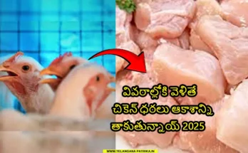 chicken price hike 2025