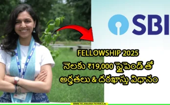 sbi youth for india fellowship 2025