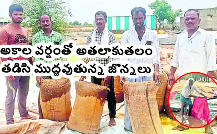 Crop Loss 2025 adilabad latest news 1