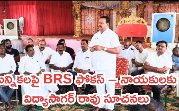 Local Body Elections