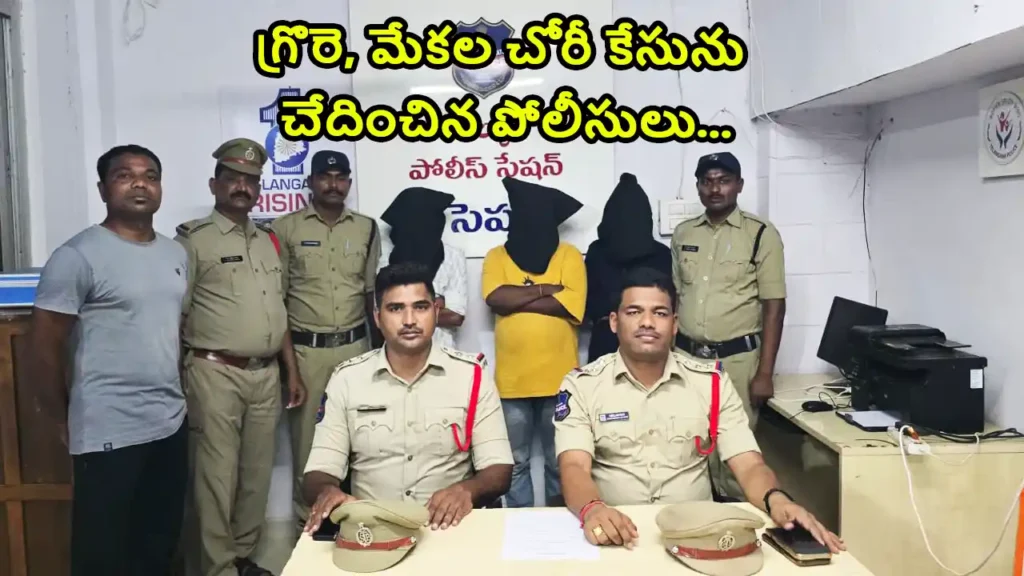 Mallial Police Station sheep and goat theft case...