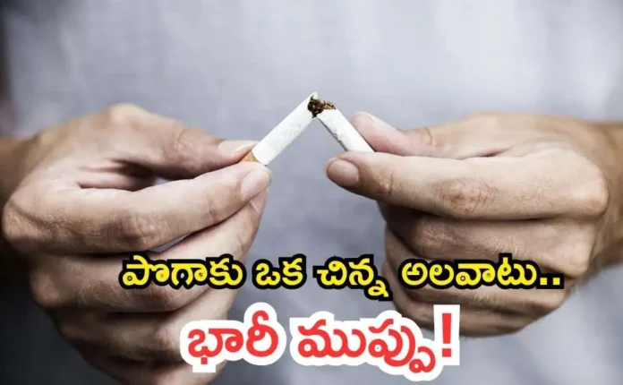 World No Tobacco Day