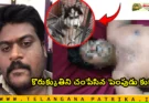 dog attack hyderabad owner incident case