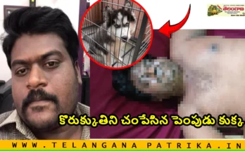 dog attack hyderabad owner incident case