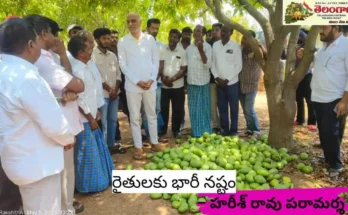 Harish Rao:నంగునూరులో అకాల వర్షాలు