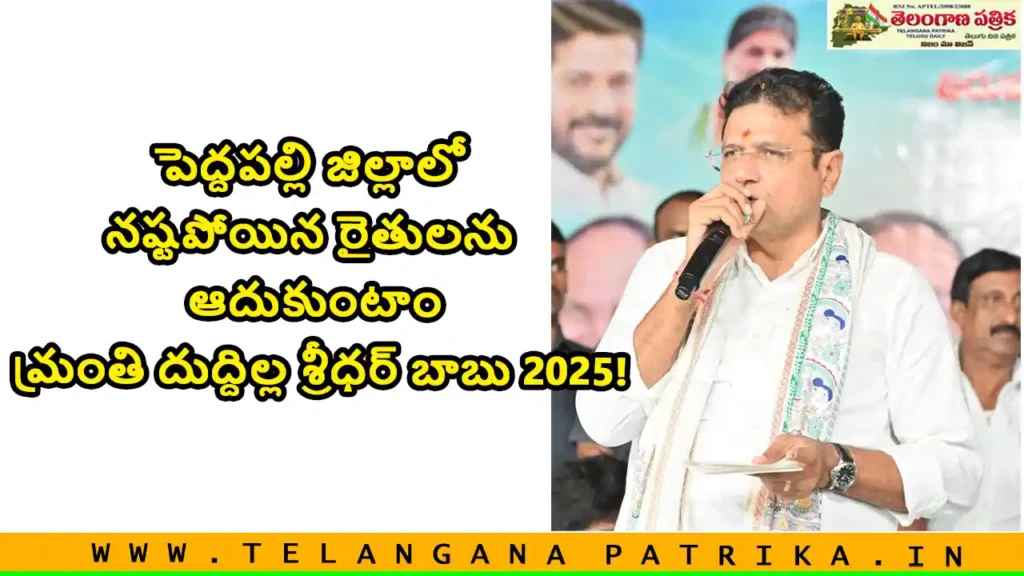 peddapalli farmers loss help sridhar babu it minister