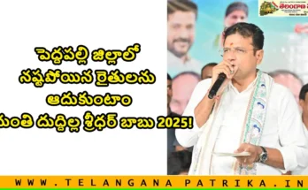 peddapalli farmers loss help sridhar babu it minister