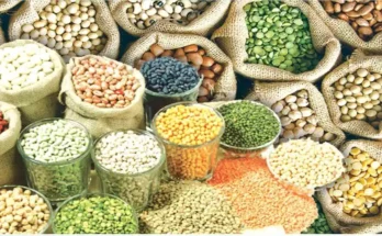 Fake Seeds Arrest Adilabad