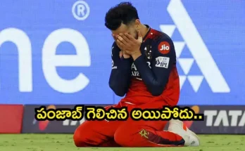 RCB Stampede Case