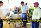 vemulawada goshala