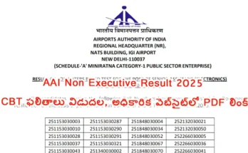 AAI Non Executive Result 2025