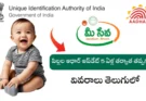 Aadhaar update for children 2025 – biometric update for kids mandatory after age 5