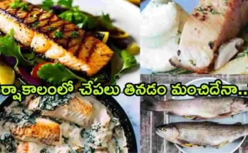 Fish Consumption