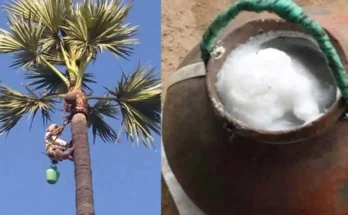 Hyderabad Kallu bundh