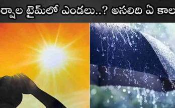 Monsoon Delay telangana People in Telugu states confused by absence of monsoon rains, experiencing unexpected heat during peak rainy season – a clear sign of climate instability. Monsoon Delay 2025: Telugu states face intense heat despite peak monsoon season. Experts blame global warming and El Niño for unusual weather patterns.