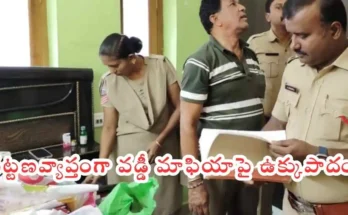 SIRCILLA ILLEGAL FINANCE