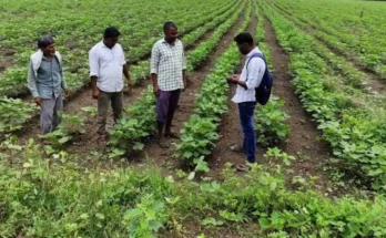 Shatrajpally farm visit
