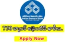 bank apprentice 2025: 750 graduate apprentice vacancies in Indian Overseas Bank, apply online by 20 August, stipend up to ₹15,000