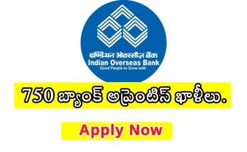 bank apprentice 2025: 750 graduate apprentice vacancies in Indian Overseas Bank, apply online by 20 August, stipend up to ₹15,000