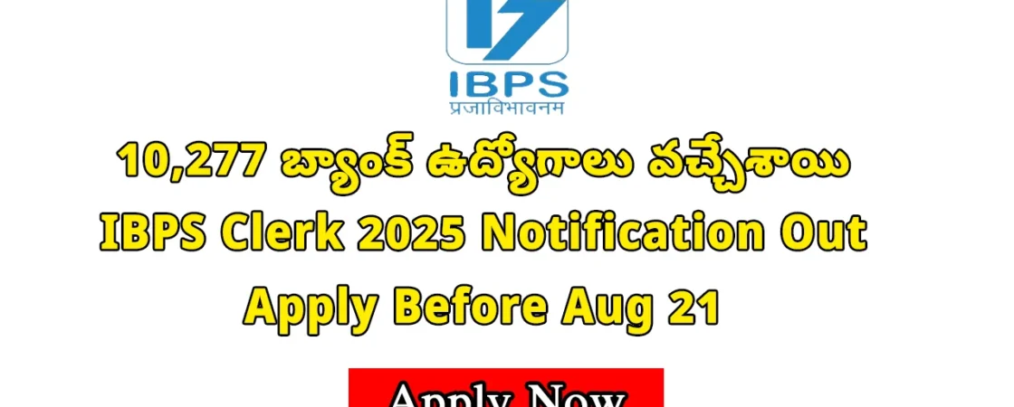 IBPS Clerk Notification 2025: Official notification released for 10,277 clerk posts in public sector banks