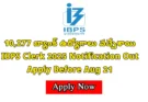 IBPS Clerk Notification 2025: Official notification released for 10,277 clerk posts in public sector banks
