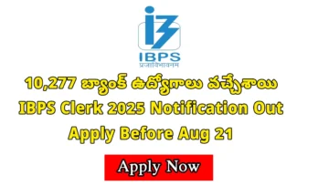 IBPS Clerk Notification 2025: Official notification released for 10,277 clerk posts in public sector banks