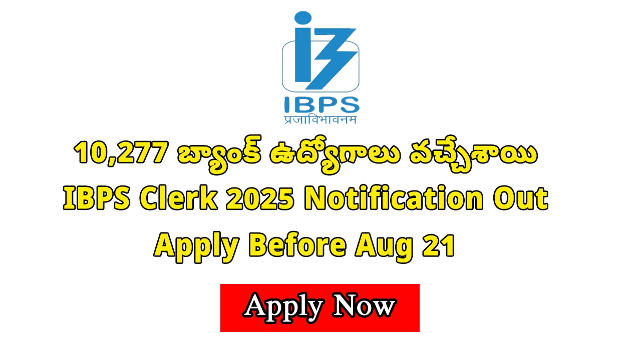 IBPS Clerk Notification 2025 | IBPS క్లర్క్ నోటిఫికేషన్ 2025 విడుదల ...