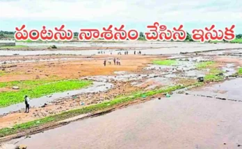 Mulugu paddy crop loss