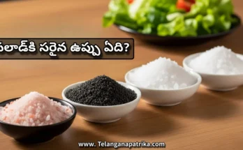 Best Salt for Salads - Different types of salt for salads – Himalayan pink, rock salt, black salt, sea salt – compared for health benefits.