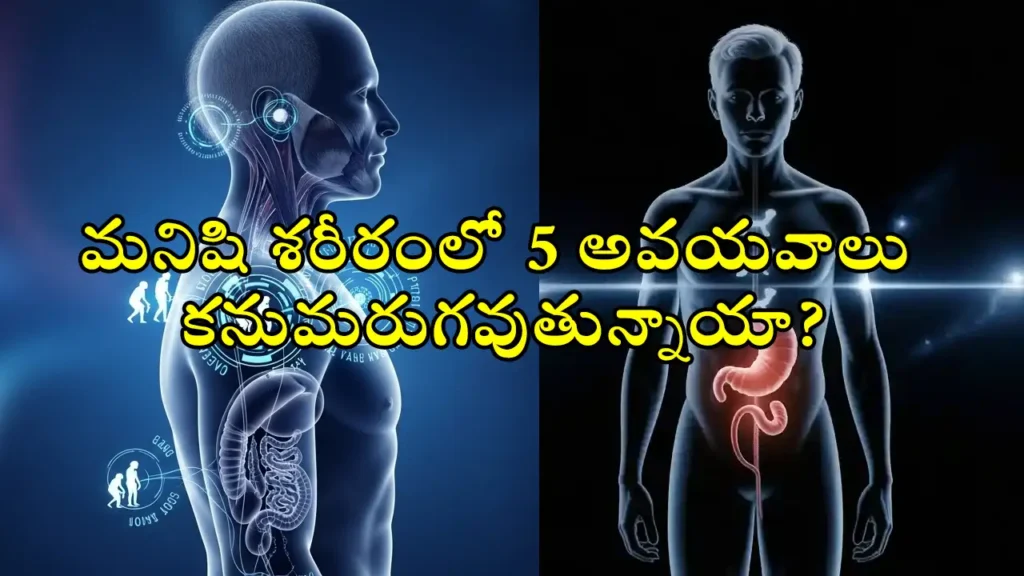 human body evolution - 5 human body parts disappearing due to evolution: hair, wisdom teeth, tailbone, appendix, ear muscles – science warning in Telugu