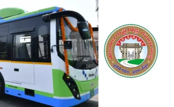 TGSRTC, బతుకమ్మ, దసరా పండుగల సమయంలో ప్రత్యేక బస్సులతో పండుగ ప్రయాణికులను తీసుకురావడానికి టీజీఎస్ఆర్టీసీ బస్సులు నడుస్తున్నాయి