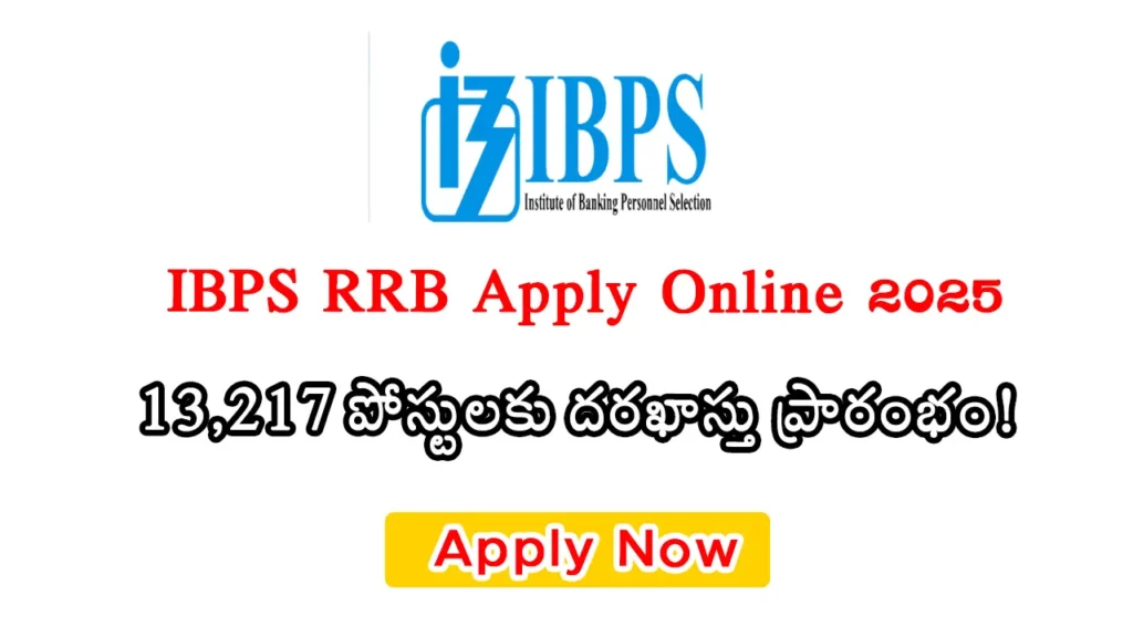 IBPS Clerk Notification 2025: Official notification released for 10,277 clerk posts in public sector banks