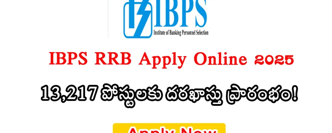 IBPS Clerk Notification 2025: Official notification released for 10,277 clerk posts in public sector banks