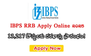 IBPS Clerk Notification 2025: Official notification released for 10,277 clerk posts in public sector banks