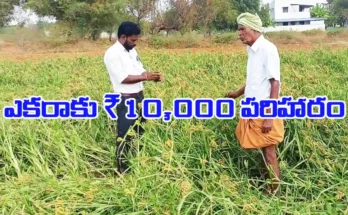 Montha Effect in Telangana aid for formers