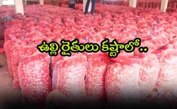 Onion Prices Telangana