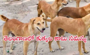 Telangana Dog Bite Cases