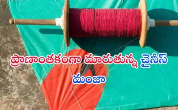 Chinese Manja Neck Injuries