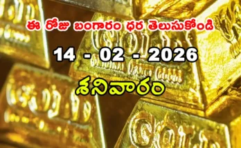 Gold Rate Today - Gold rate chart in Hyderabad jewelry store on 14 february 2026