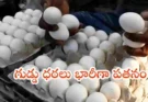 తెలంగాణలో గుడ్డు ధరలు భారీగా పతనం.. నష్టాల్లో పౌల్ట్రీ రైతులు
