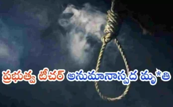 Government Teacher case