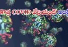 New COVID variant Cicada India risk : కొత్త COVID వేరియంట్ “Cicada” అలర్ట్