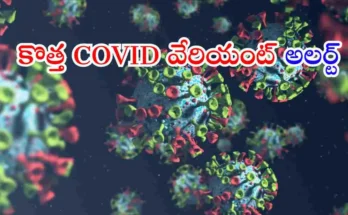 New COVID variant Cicada India risk