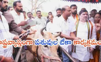 Ponnam Launches Cattle Vaccination