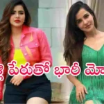 పెళ్లి చేస్తానని నమ్మించి రూ.9.35 కోట్లు, 5 కిలోల బంగారం తీసుకుని మోసం చేసిన అషు రెడ్డి కేసు. కుటుంబ సభ్యులపై నాన్ బెయిలబుల్ కేసు నమోదు.