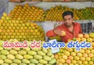 Mango Prices Fall India : హైదరాబాద్‌లో మామిడి ధరలు పడిపోతాయా