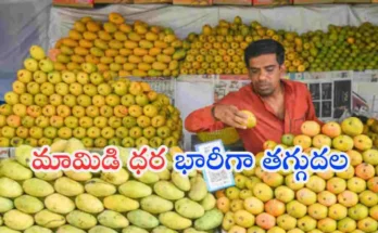 Hyderabad mango prices drop West Asia crisis export impact India mango market