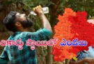తెలంగాణలో ఈ సీజన్‌లో అత్యధిక ఉష్ణోగ్రతలు నమోదయ్యాయి. నిజామాబాద్‌లో 46°C నమోదు కాగా, పలు జిల్లాల్లో 45°C పైగా ఉష్ణోగ్రతలు.