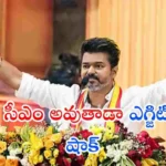 తమిళనాడు ఎగ్జిట్ పోల్స్ సంచలనం సృష్టిస్తున్నాయి. దళపతి విజయ్ పార్టీ TVKకు భారీ సీట్లు వస్తాయని అంచనా. సీఎం రేసులో స్టాలిన్ కంటే ముందా? పూర్తి వివరాలు ఇక్కడ చదవండి.